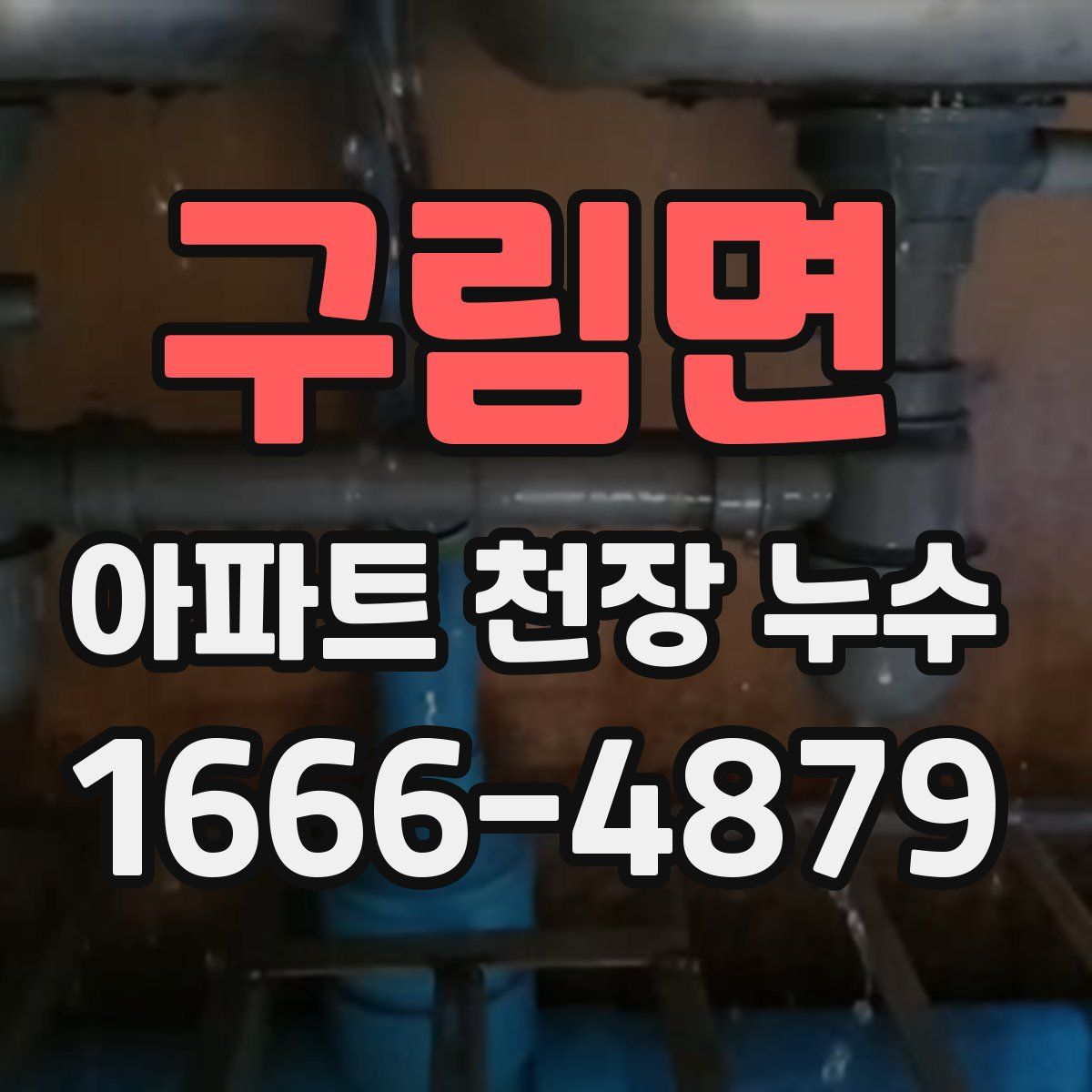 구림면 아파트 천장 누수