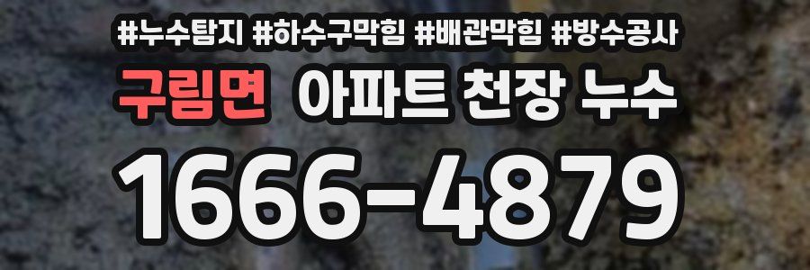 구림면 아파트 천장 누수
