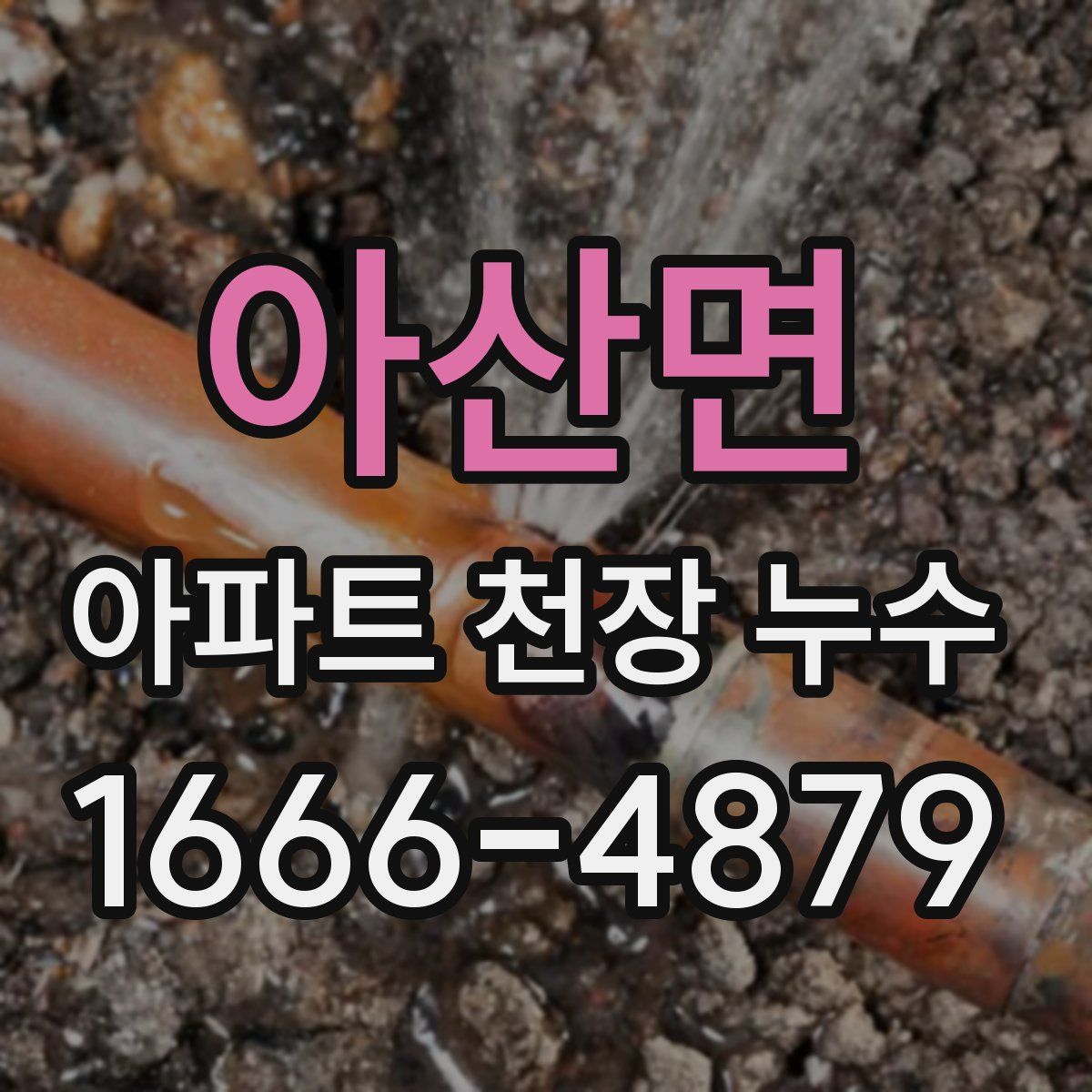 아산면 아파트 천장 누수