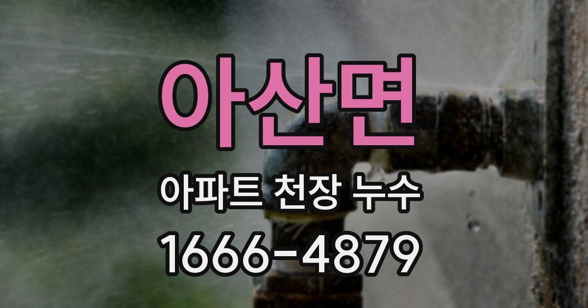 아산면 아파트 천장 누수