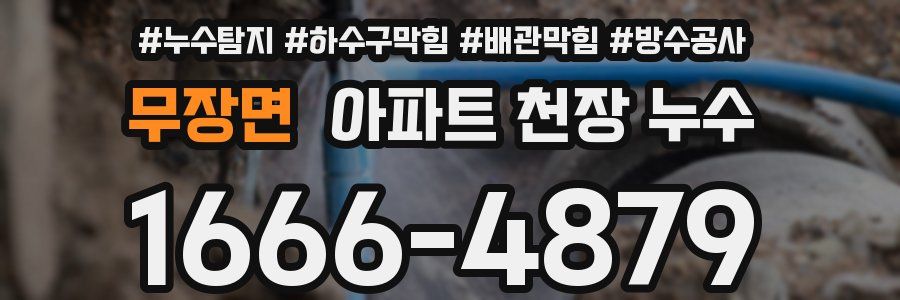 무장면 아파트 천장 누수