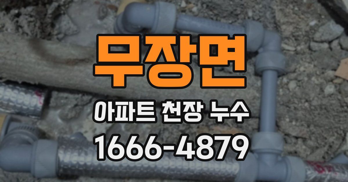 무장면 아파트 천장 누수