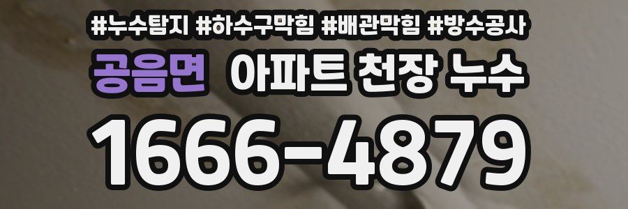 공음면 아파트 천장 누수