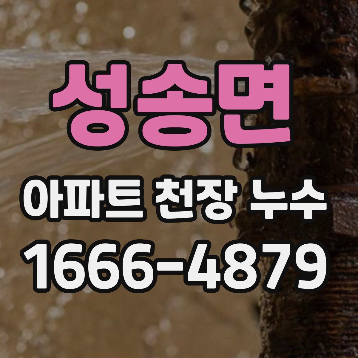 성송면 아파트 천장 누수