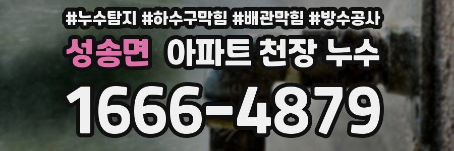 성송면 아파트 천장 누수