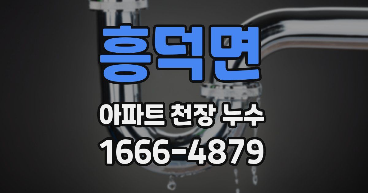 흥덕면 아파트 천장 누수