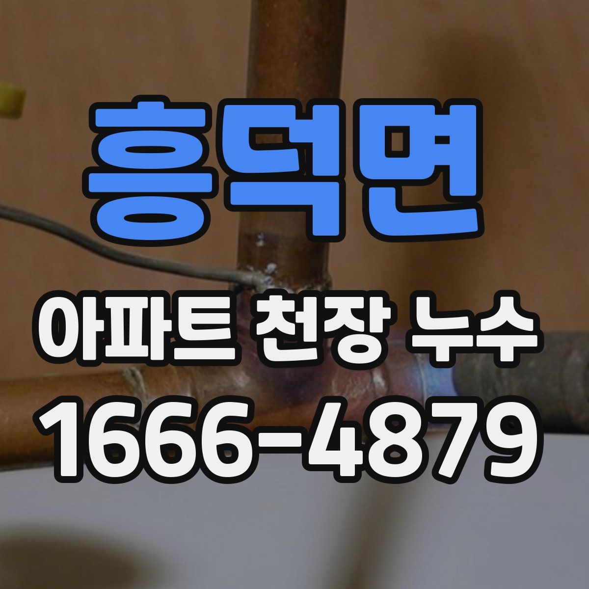 흥덕면 아파트 천장 누수
