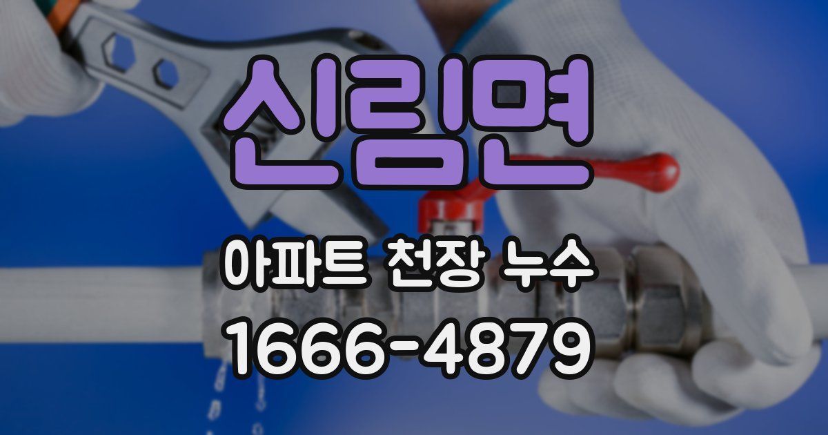 신림면 아파트 천장 누수
