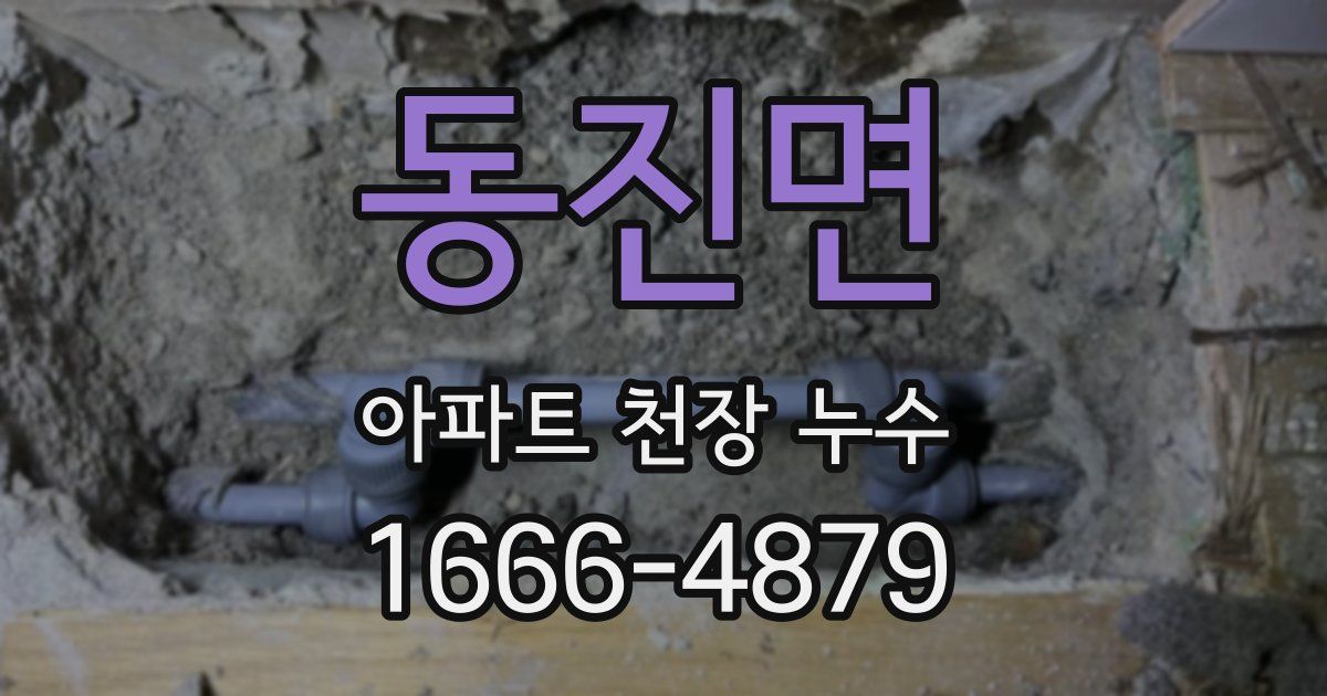 동진면 아파트 천장 누수