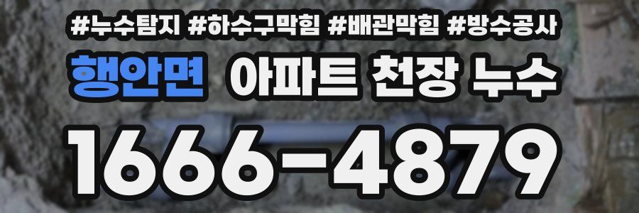 행안면 아파트 천장 누수