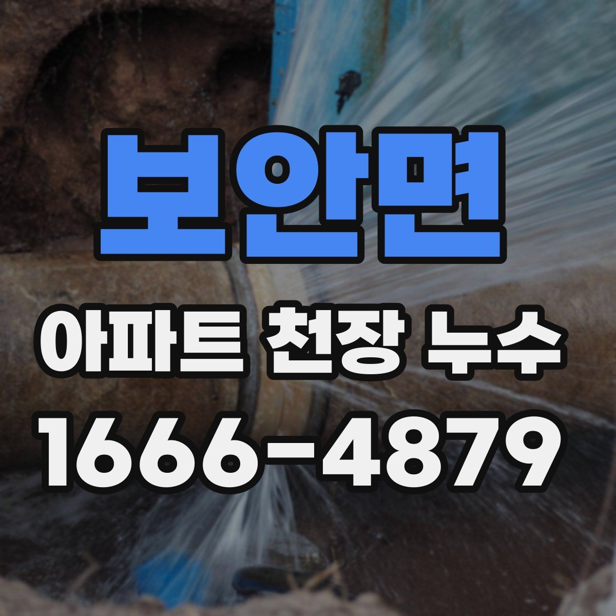 보안면 아파트 천장 누수