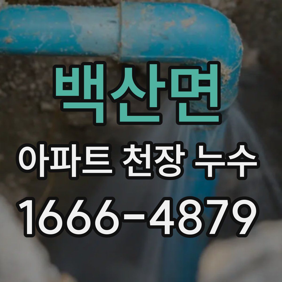 백산면 아파트 천장 누수