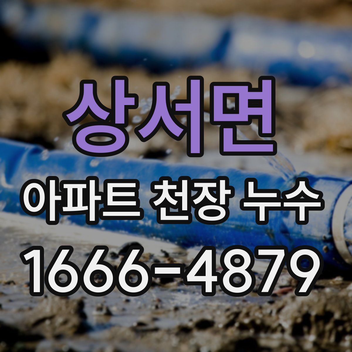 상서면 아파트 천장 누수