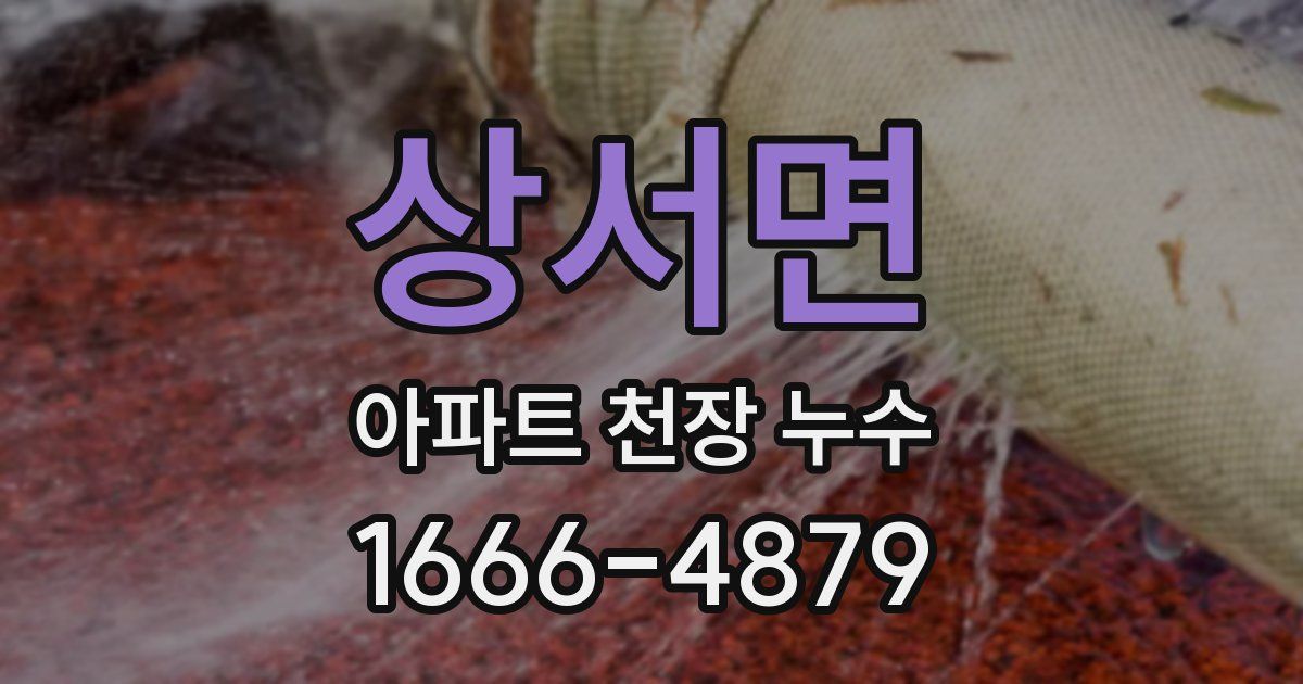 상서면 아파트 천장 누수