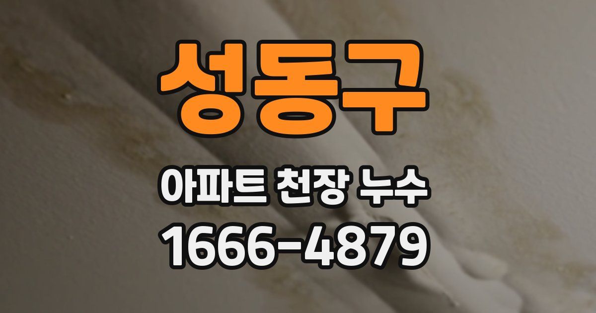 성동구 아파트 천장 누수