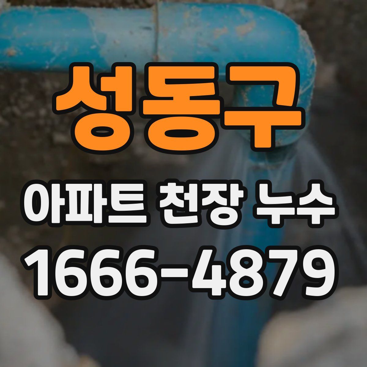성동구 아파트 천장 누수