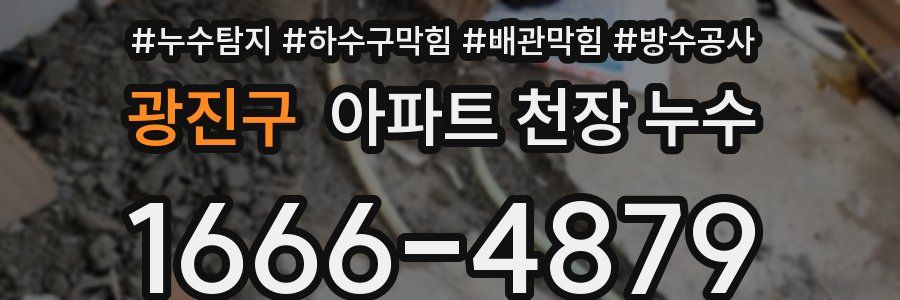 광진구 아파트 천장 누수