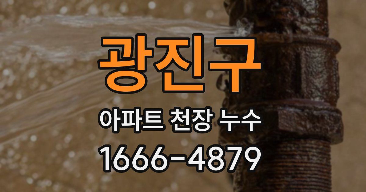 광진구 아파트 천장 누수