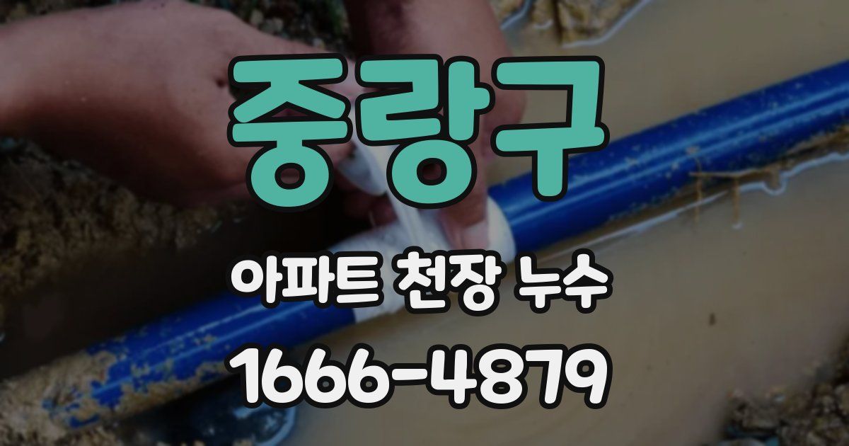 중랑구 아파트 천장 누수