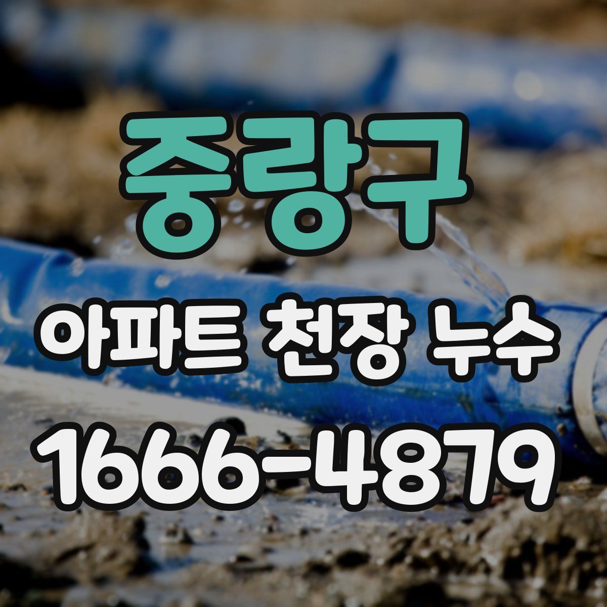 중랑구 아파트 천장 누수
