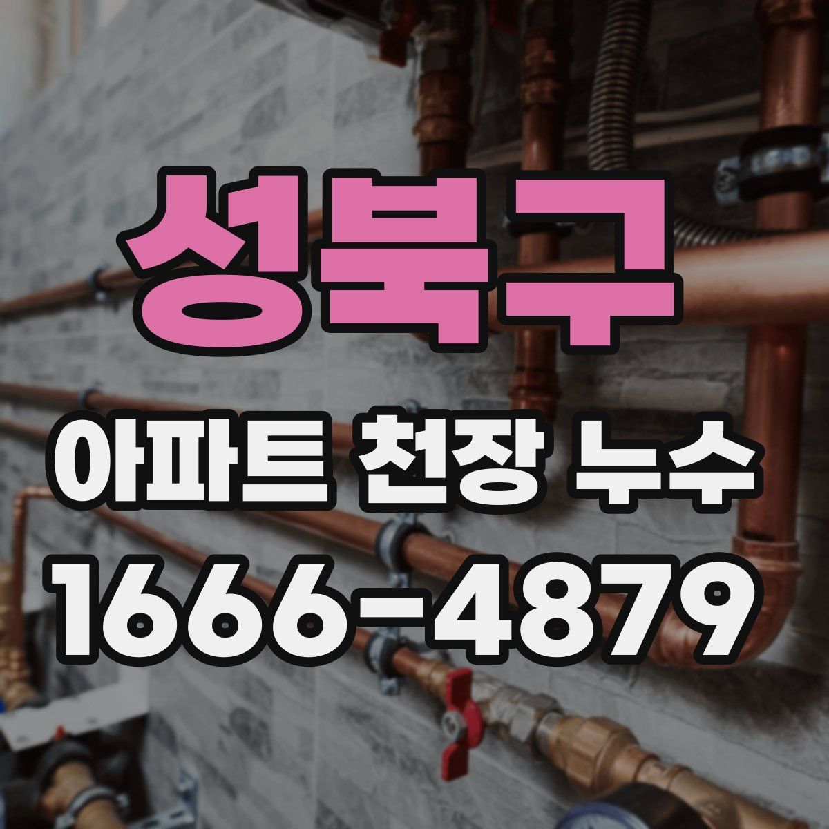성북구 아파트 천장 누수