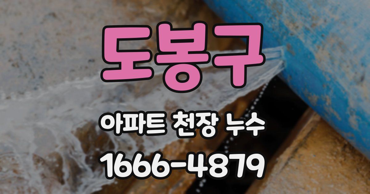 도봉구 아파트 천장 누수