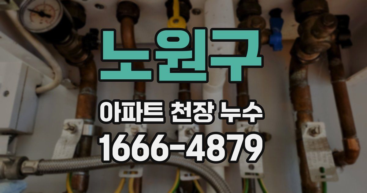 노원구 아파트 천장 누수