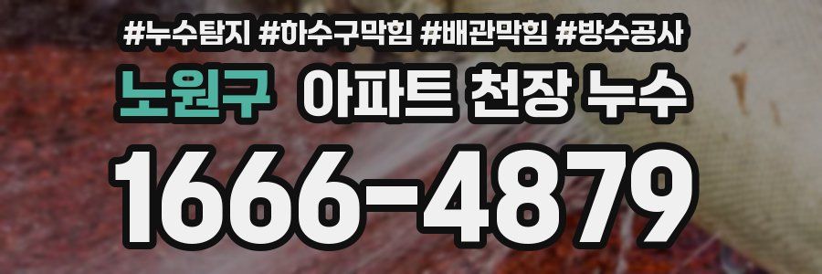 노원구 아파트 천장 누수