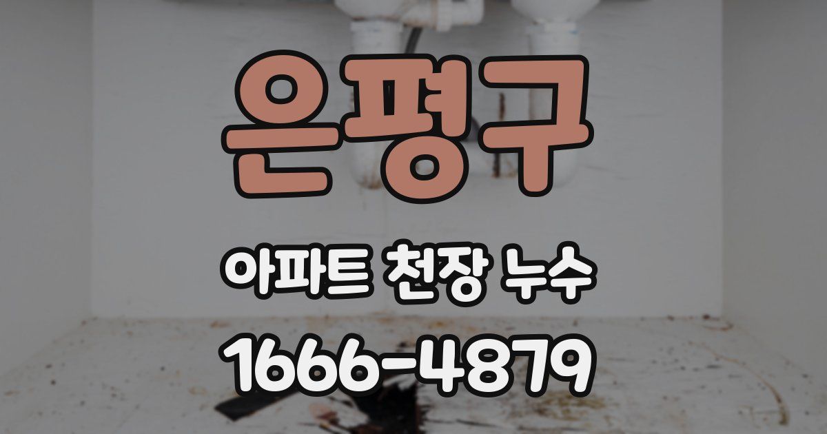 은평구 아파트 천장 누수
