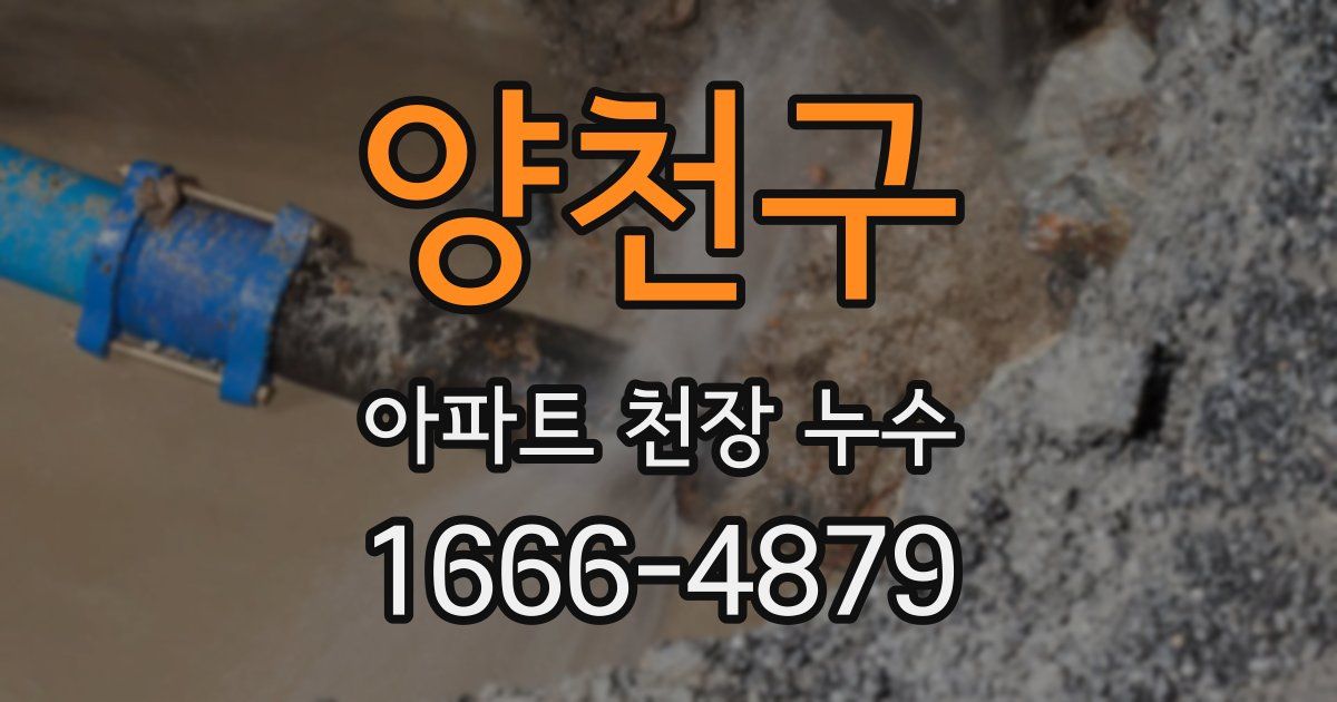 양천구 아파트 천장 누수