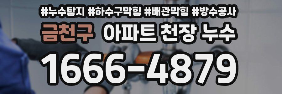 금천구 아파트 천장 누수