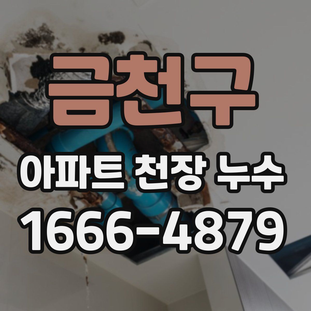 금천구 아파트 천장 누수
