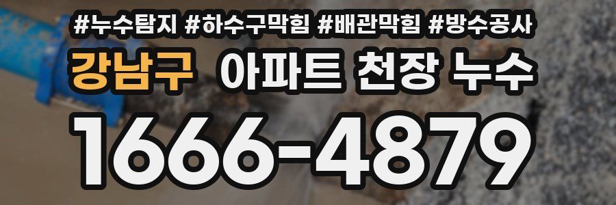 강남구 아파트 천장 누수