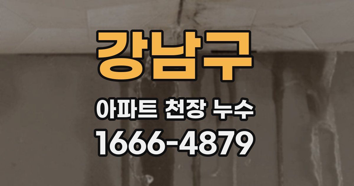 강남구 아파트 천장 누수