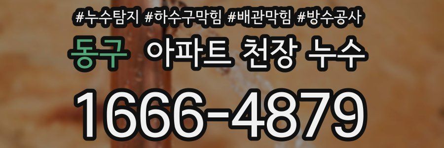 동구 아파트 천장 누수