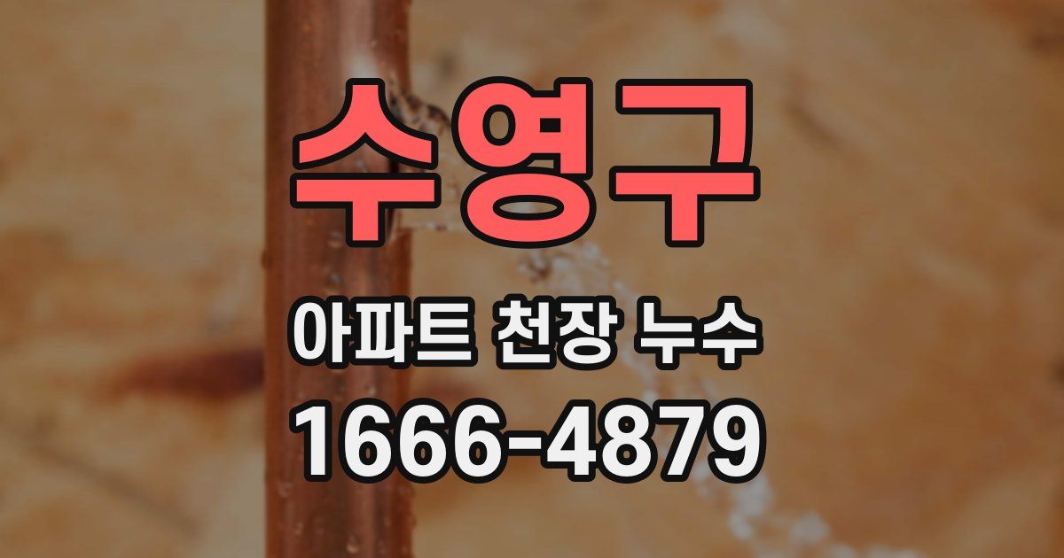 수영구 아파트 천장 누수