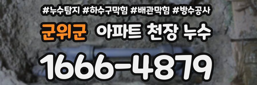 군위군 아파트 천장 누수