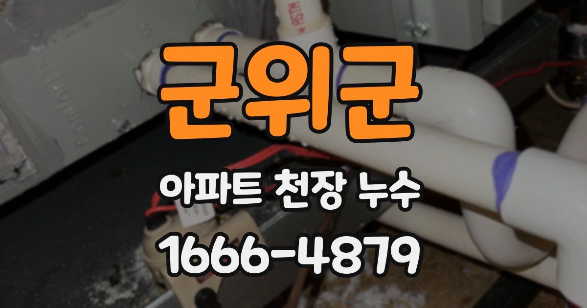 군위군 아파트 천장 누수