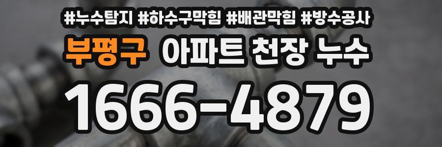 부평구 아파트 천장 누수