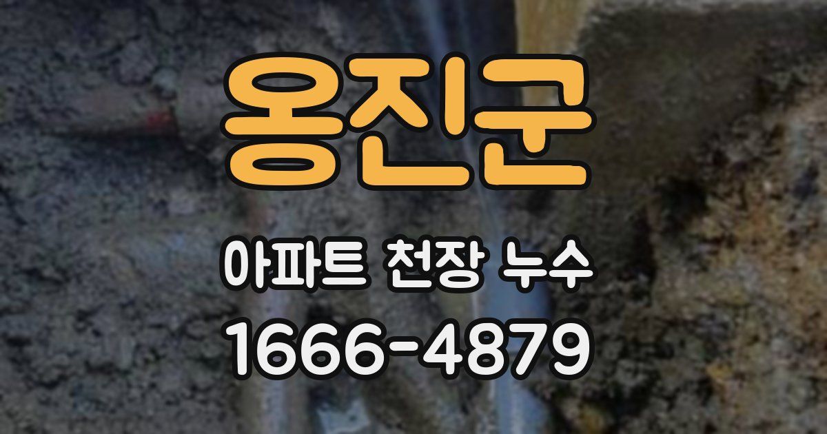 옹진군 아파트 천장 누수