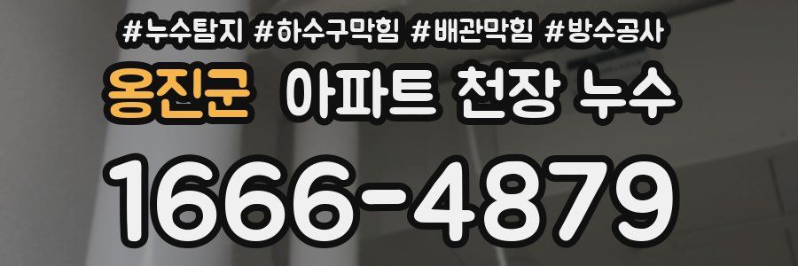 옹진군 아파트 천장 누수