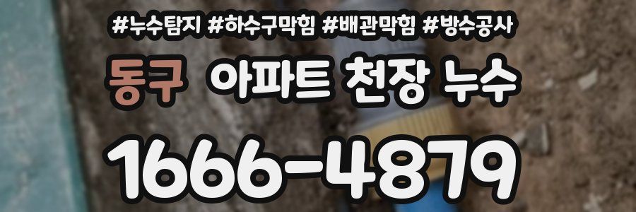 동구 아파트 천장 누수