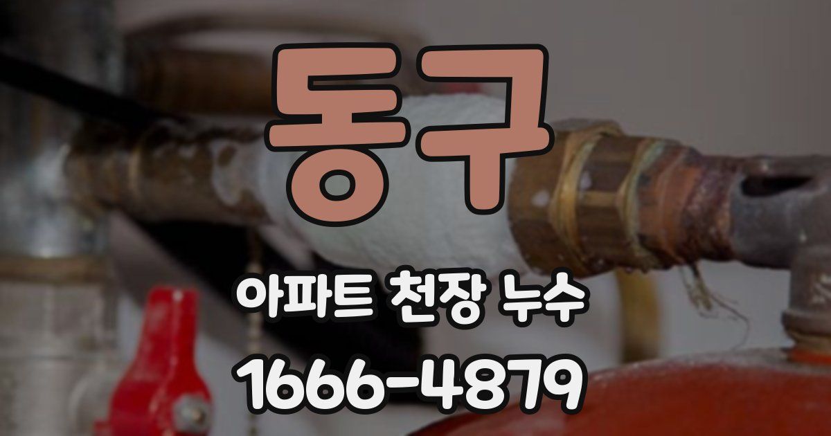 동구 아파트 천장 누수