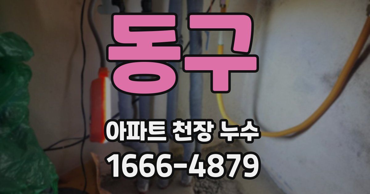 동구 아파트 천장 누수