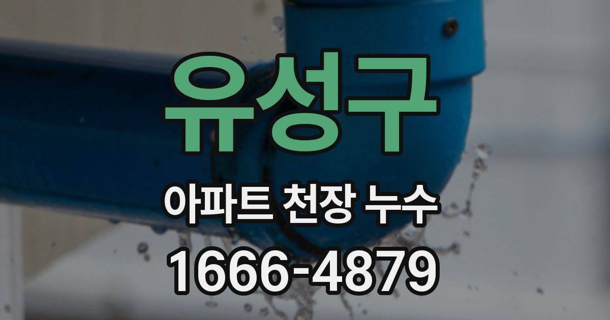 유성구 아파트 천장 누수