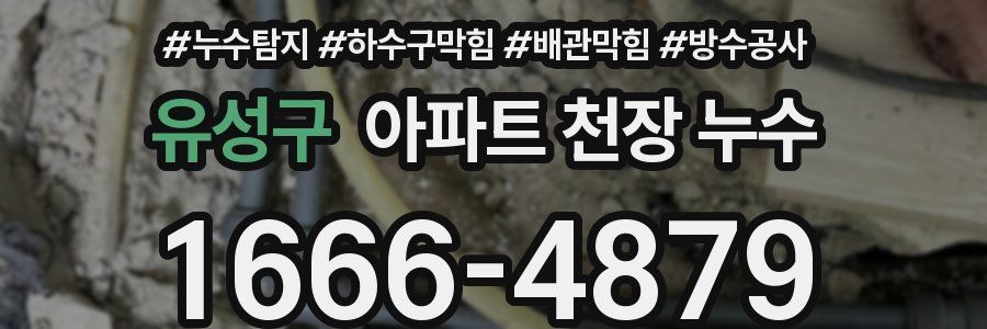 유성구 아파트 천장 누수