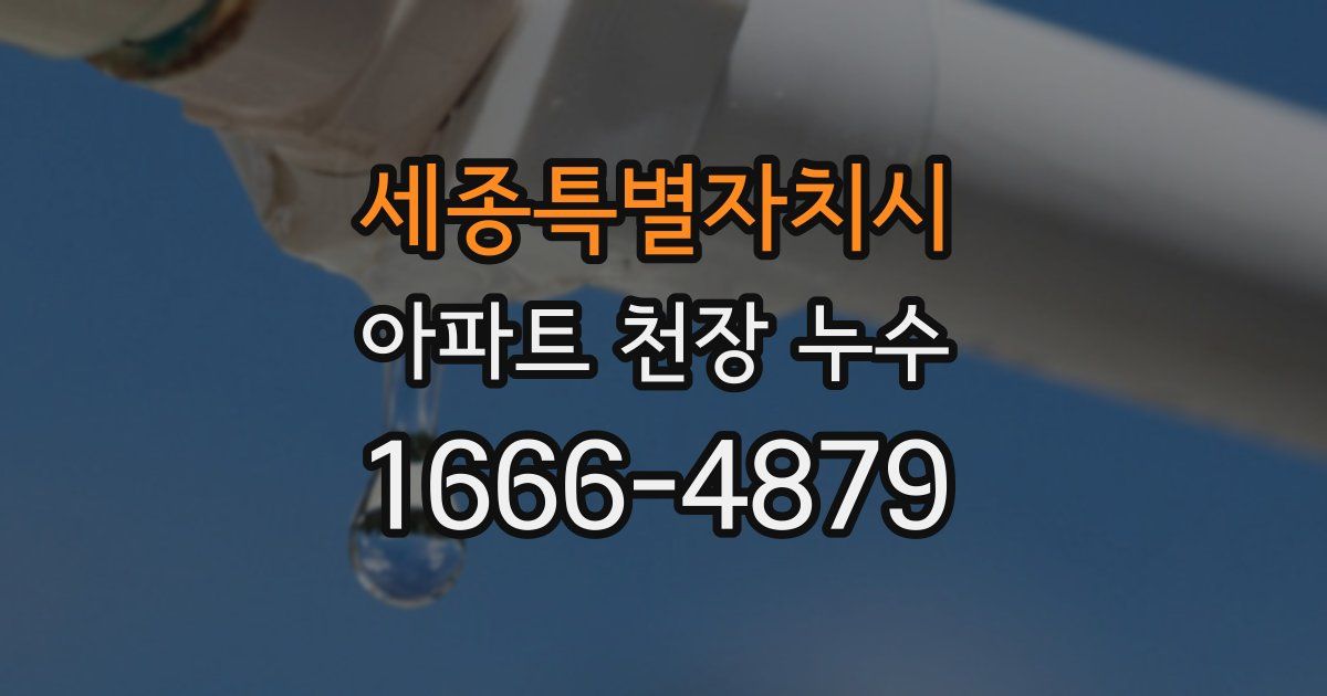 세종특별자치시 아파트 천장 누수