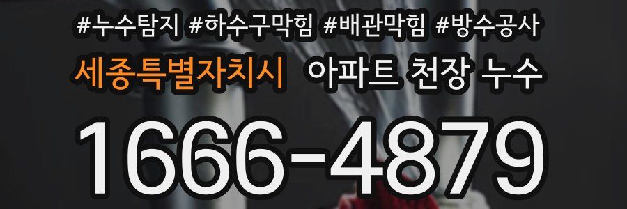 세종특별자치시 아파트 천장 누수