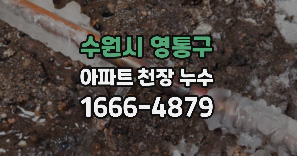 수원시 영통구 아파트 천장 누수