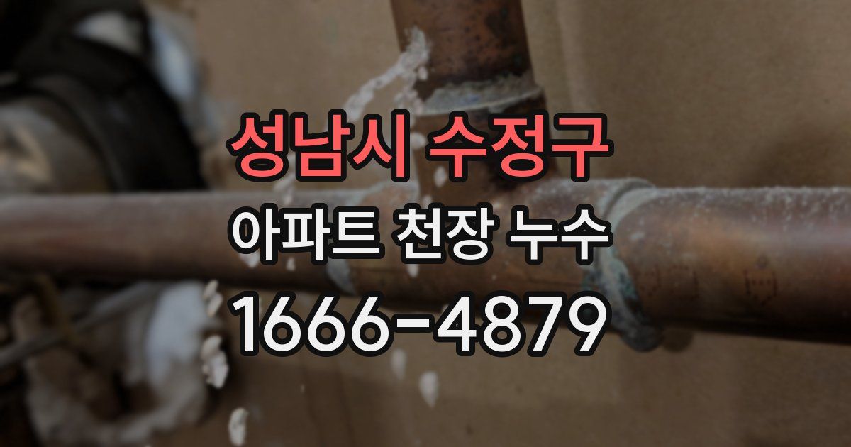 성남시 수정구 아파트 천장 누수